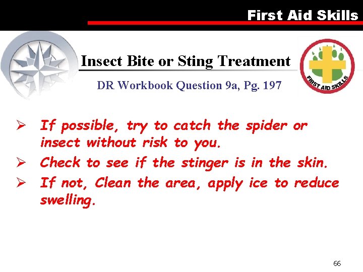 First Aid Skills Insect Bite or Sting Treatment DR Workbook Question 9 a, Pg.