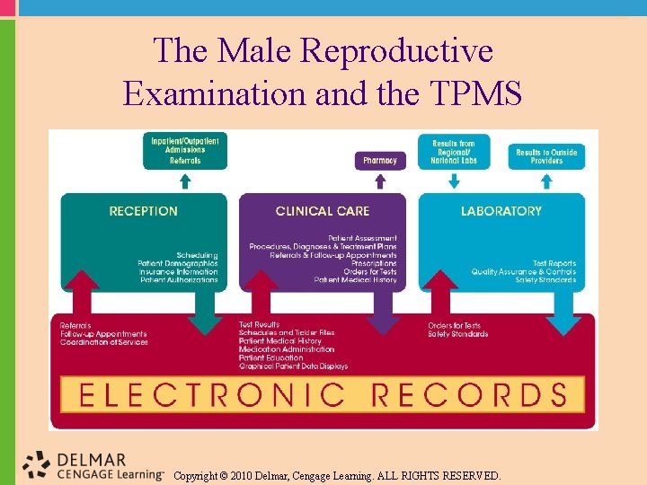 The Male Reproductive Examination and the TPMS Copyright © 2010 Delmar, Cengage Learning. ALL