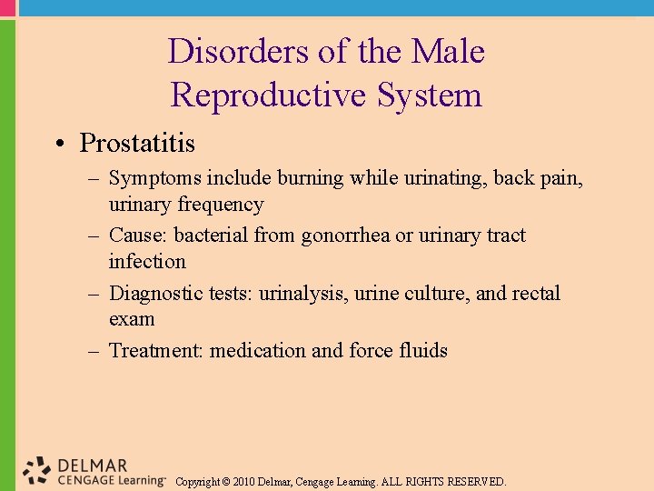 Disorders of the Male Reproductive System • Prostatitis – Symptoms include burning while urinating,