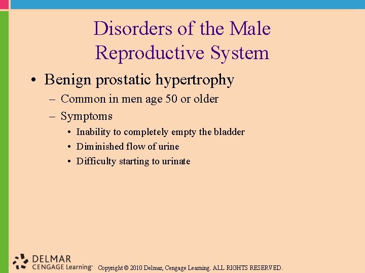 Disorders of the Male Reproductive System • Benign prostatic hypertrophy – Common in men