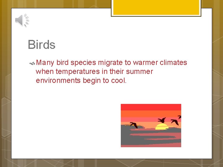 Birds Many bird species migrate to warmer climates when temperatures in their summer environments