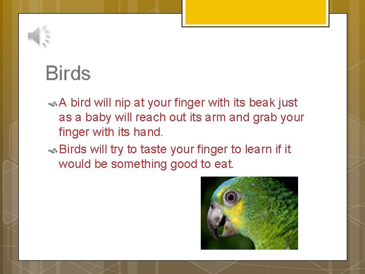 Birds A bird will nip at your finger with its beak just as a