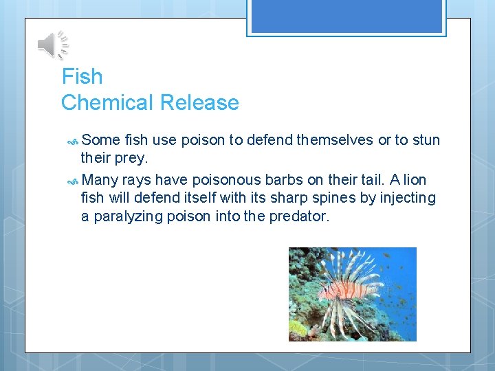 Fish Chemical Release Some fish use poison to defend themselves or to stun their