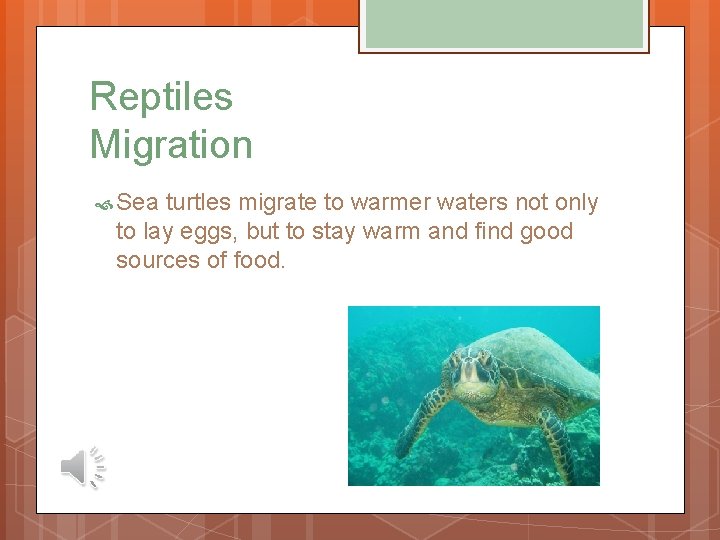 Reptiles Migration Sea turtles migrate to warmer waters not only to lay eggs, but