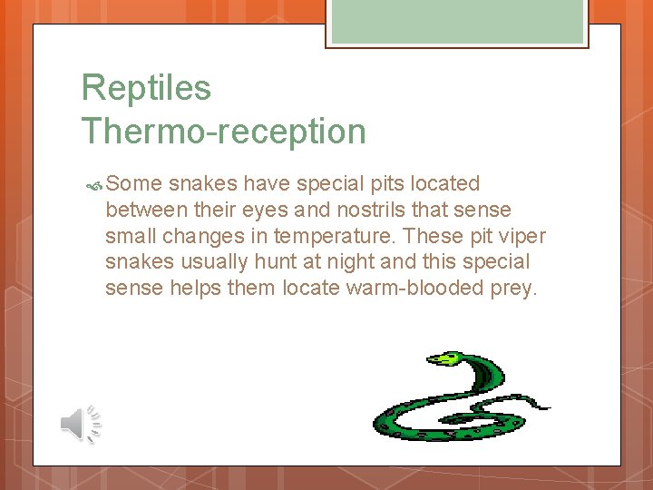 Reptiles Thermo-reception Some snakes have special pits located between their eyes and nostrils that