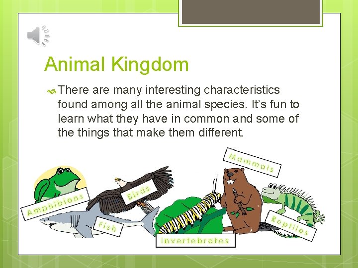 Animal Kingdom There are many interesting characteristics found among all the animal species. It’s