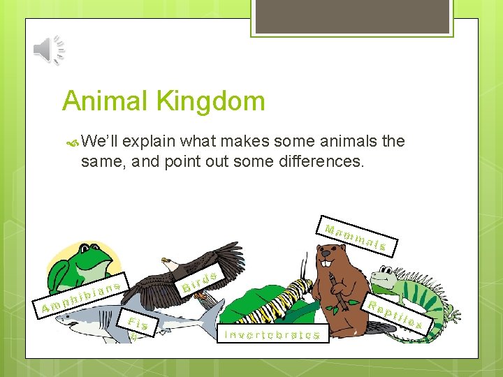 Animal Kingdom We’ll explain what makes some animals the same, and point out some
