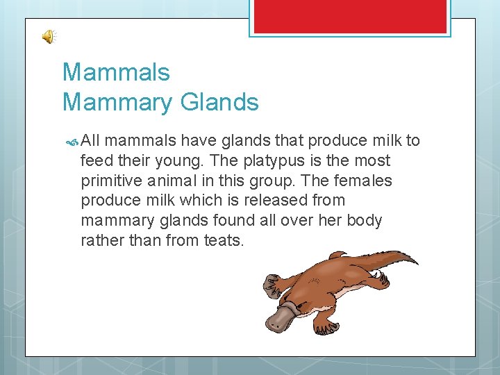 Mammals Mammary Glands All mammals have glands that produce milk to feed their young.