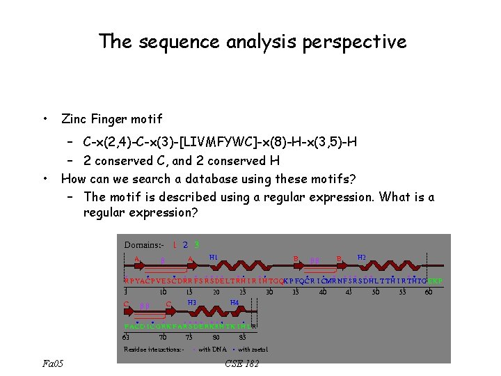 The sequence analysis perspective • Zinc Finger motif • – C-x(2, 4)-C-x(3)-[LIVMFYWC]-x(8)-H-x(3, 5)-H –