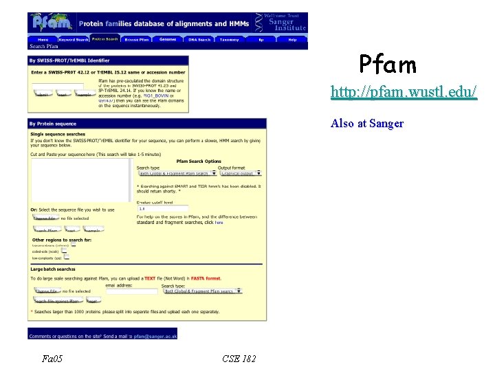 Pfam http: //pfam. wustl. edu/ Also at Sanger Fa 05 CSE 182 