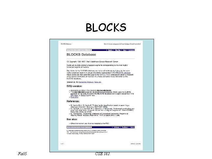 BLOCKS Fa 05 CSE 182 