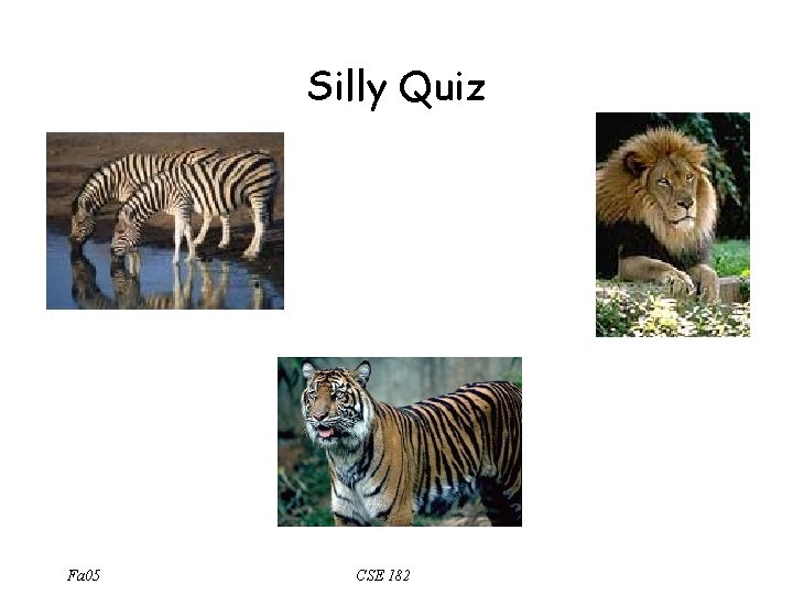 Silly Quiz Fa 05 CSE 182 