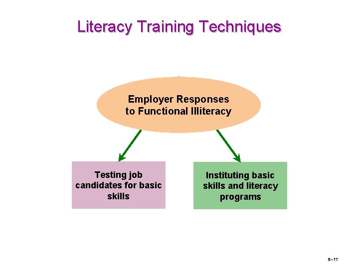 Literacy Training Techniques Employer Responses to Functional Illiteracy Testing job candidates for basic skills