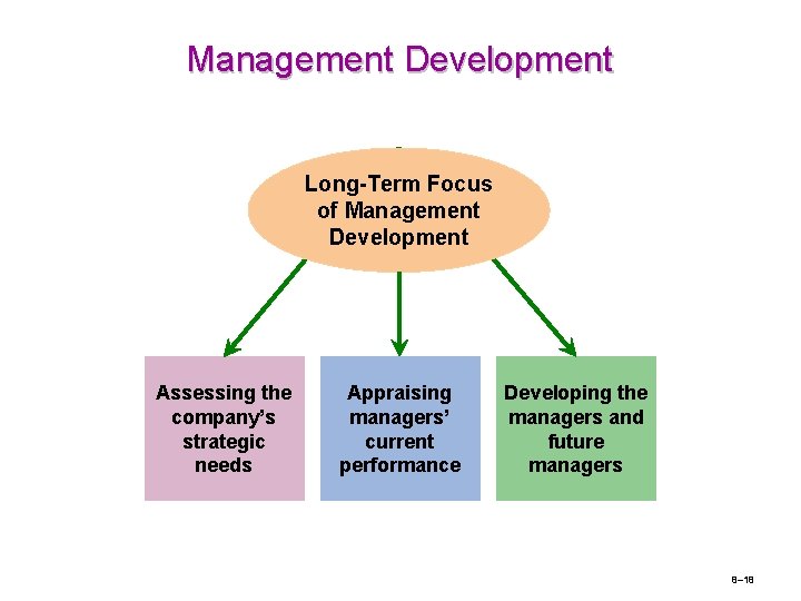 Management Development Long-Term Focus of Management Development Assessing the company’s strategic needs Appraising managers’