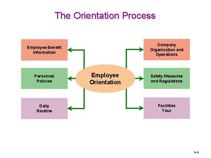 The Orientation Process Company Organization and Operations Employee Benefit Information Personnel Policies Daily Routine