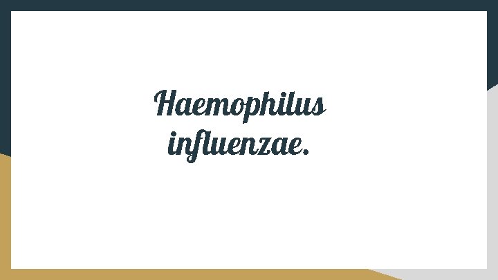 Haemophilus influenzae. 