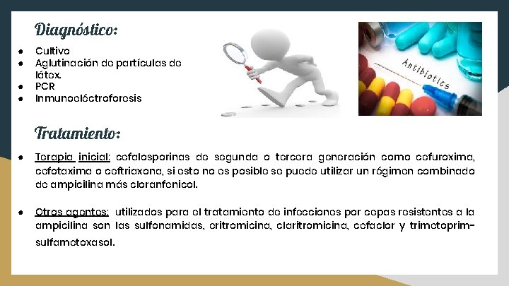 Diagnóstico: ● ● Cultivo Aglutinación de partículas de látex. PCR Inmunoeléctroforesis Tratamiento: ● Terapia