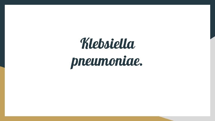 Klebsiella pneumoniae. 