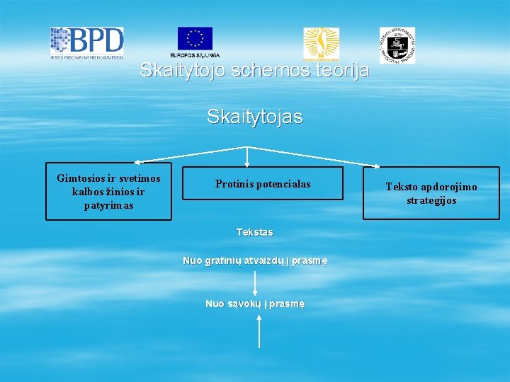 Skaitytojo schemos teorija Skaitytojas Gimtosios ir svetimos kalbos žinios ir patyrimas Protinis potencialas Tekstas