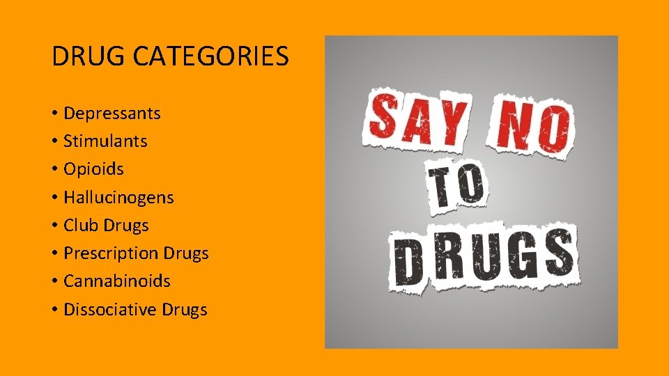 DRUG CATEGORIES • Depressants • Stimulants • Opioids • Hallucinogens • Club Drugs •