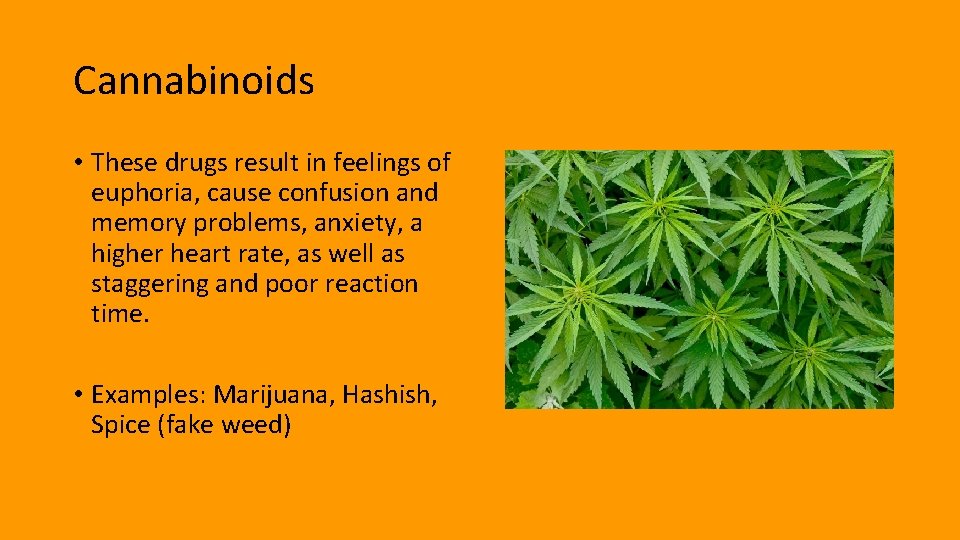 Cannabinoids • These drugs result in feelings of euphoria, cause confusion and memory problems,