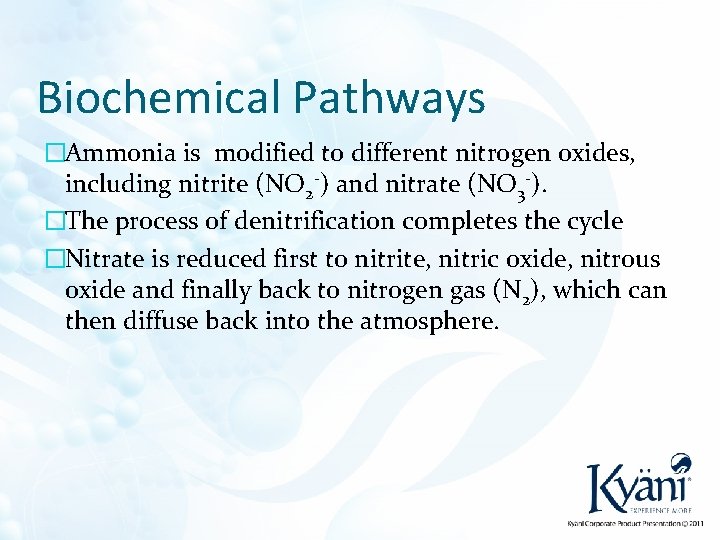 Biochemical Pathways �Ammonia is modified to different nitrogen oxides, including nitrite (NO 2 -)