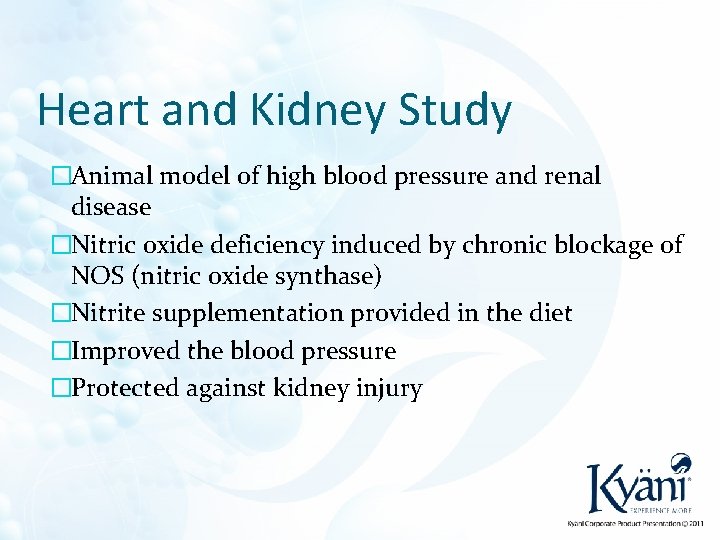 Heart and Kidney Study �Animal model of high blood pressure and renal disease �Nitric