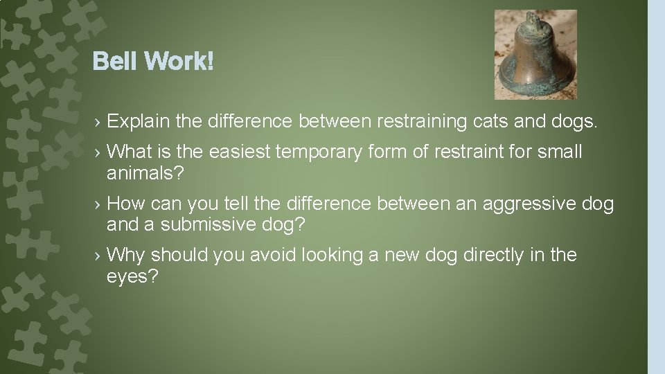 Bell Work! › Explain the difference between restraining cats and dogs. › What is