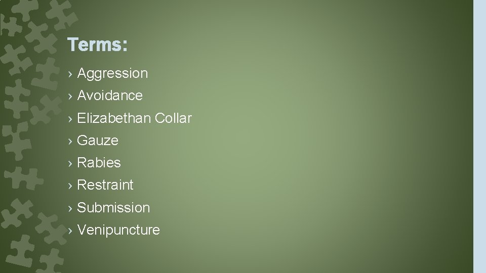 Terms: › Aggression › Avoidance › Elizabethan Collar › Gauze › Rabies › Restraint
