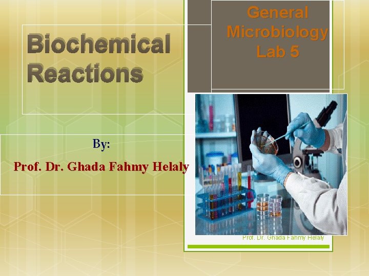 Biochemical Reactions General Microbiology Lab 5 By: Prof. Dr. Ghada Fahmy Helaly 