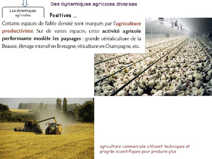 Positives … agriculture commerciale utilisant techniques et progrès scientifiques pour produire plus 