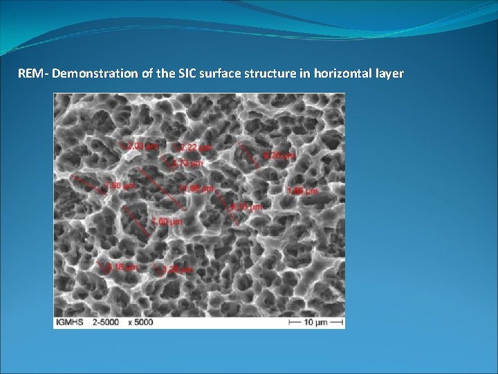 REM- Demonstration of the SIC surface structure in horizontal layer 