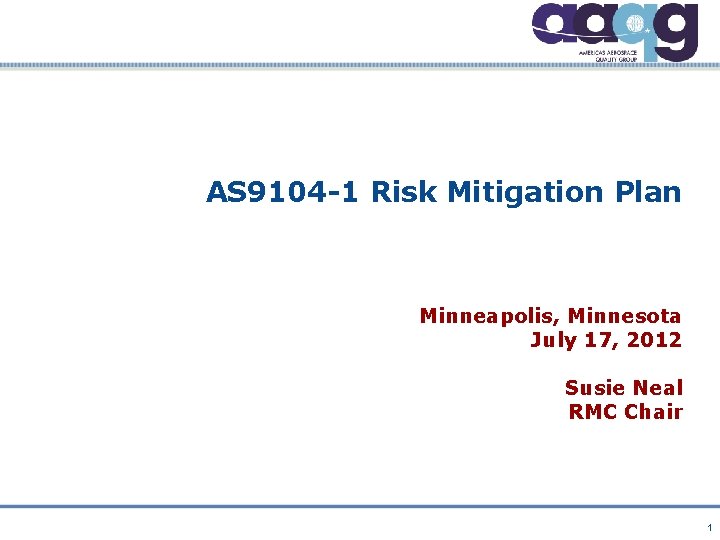 AS 9104 -1 Risk Mitigation Plan Minneapolis, Minnesota July 17, 2012 Susie Neal RMC