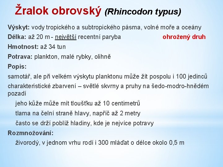 Žralok obrovský (Rhincodon typus) Výskyt: vody tropického a subtropického pásma, volné moře a oceány