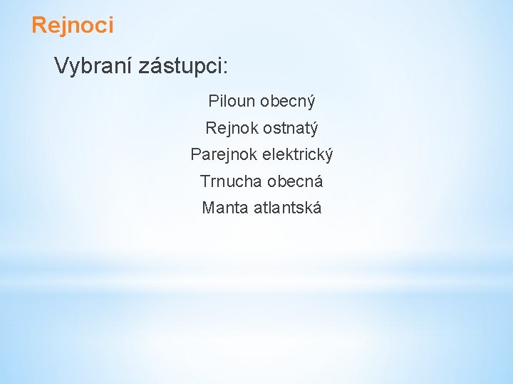 Rejnoci Vybraní zástupci: Piloun obecný Rejnok ostnatý Parejnok elektrický Trnucha obecná Manta atlantská 