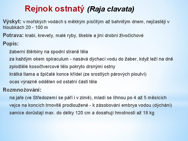 Rejnok ostnatý (Raja clavata) Výskyt: v mořských vodách s měkkým písčitým až bahnitým dnem,