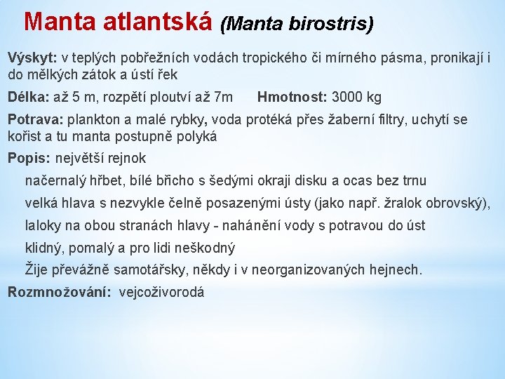 Manta atlantská (Manta birostris) Výskyt: v teplých pobřežních vodách tropického či mírného pásma, pronikají
