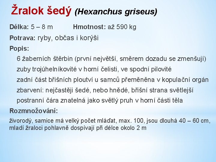 Žralok šedý (Hexanchus griseus) Délka: 5 – 8 m Hmotnost: až 590 kg Potrava: