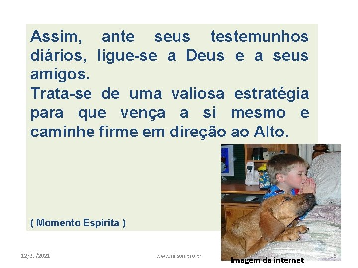 Assim, ante seus testemunhos diários, ligue-se a Deus e a seus amigos. Trata-se de