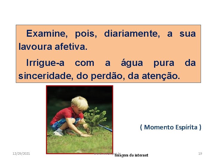 Examine, pois, diariamente, a sua lavoura afetiva. Irrigue-a com a água pura da sinceridade,