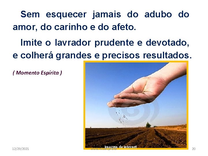 Sem esquecer jamais do adubo do amor, do carinho e do afeto. Imite o