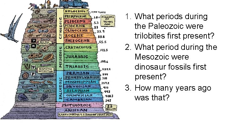 1. What periods during the Paleozoic were trilobites first present? 2. What period during