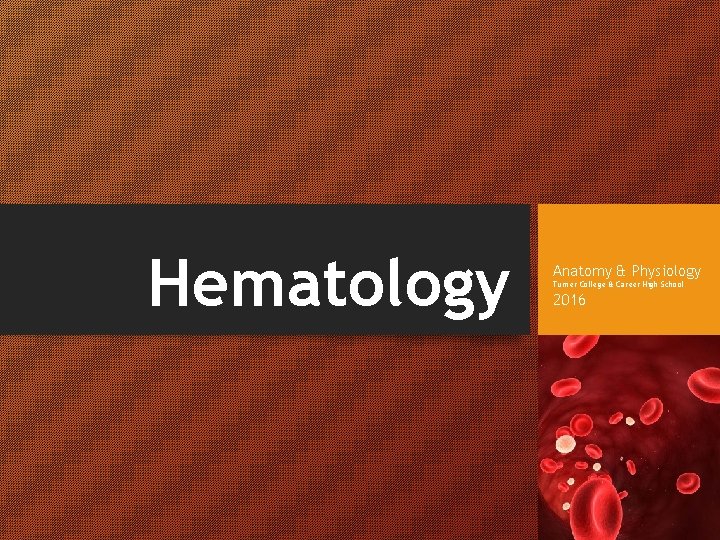 Hematology Anatomy & Physiology Turner College & Career High School 2016 