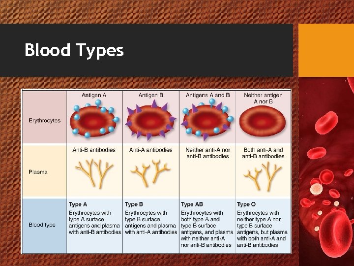 Blood Types 