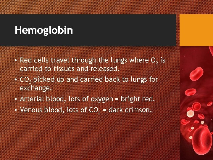 Hemoglobin • Red cells travel through the lungs where O 2 is carried to