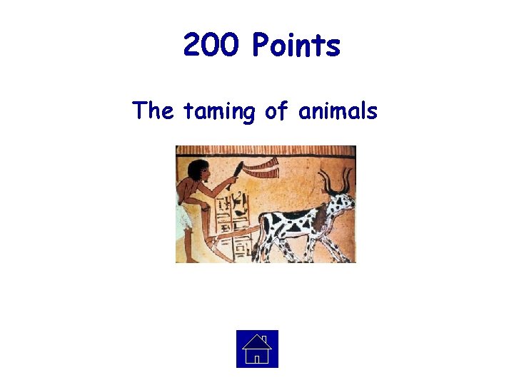 200 Points The taming of animals 