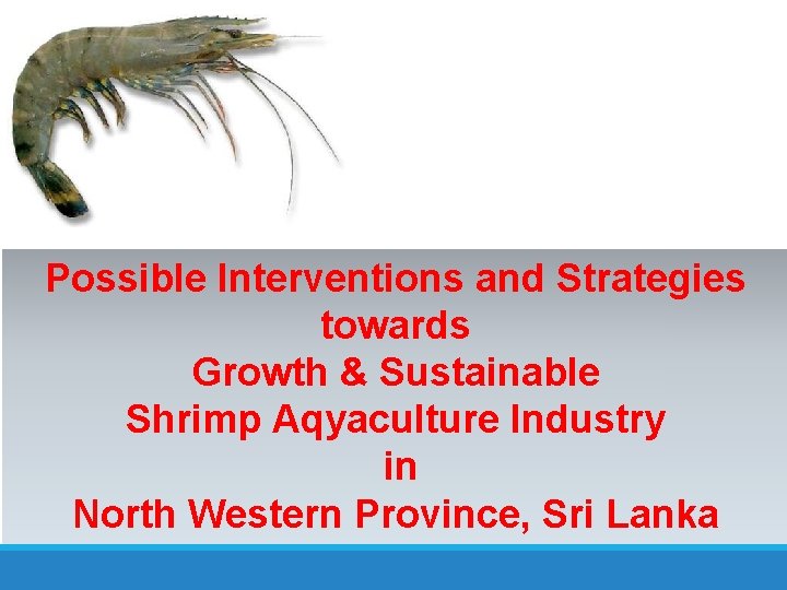 Possible Interventions and Strategies towards Growth & Sustainable Shrimp Aqyaculture Industry in North Western