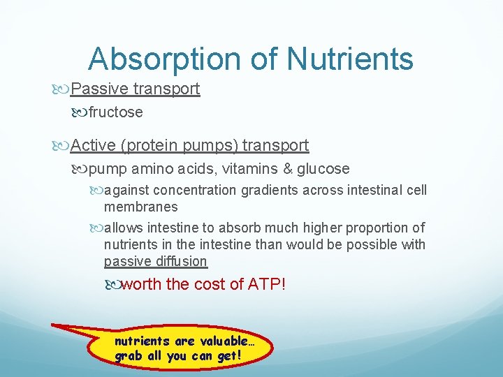 Absorption of Nutrients Passive transport fructose Active (protein pumps) transport pump amino acids, vitamins Absorption of Nutrients Passive transport fructose Active (protein pumps) transport pump amino acids, vitamins
