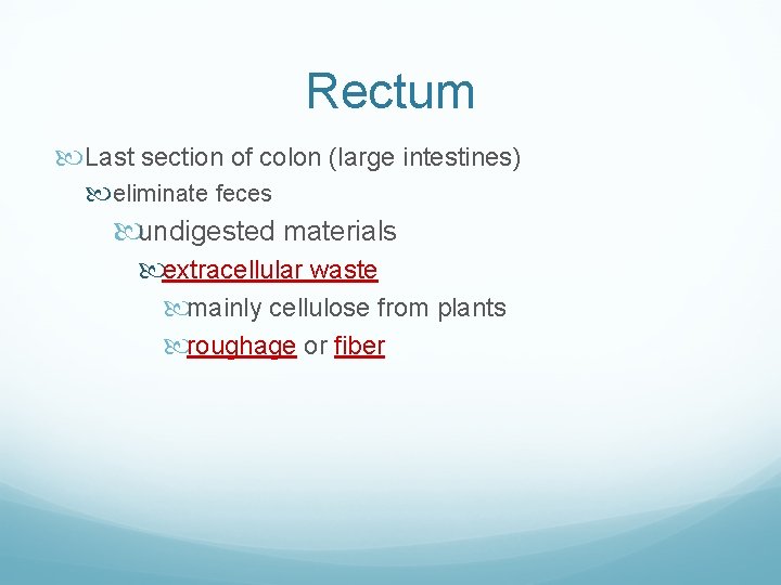 Rectum Last section of colon (large intestines) eliminate feces undigested materials extracellular waste mainly