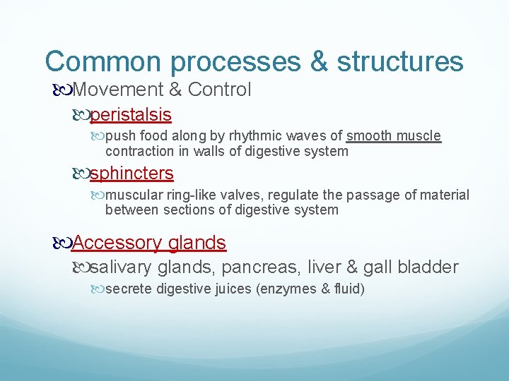 Common processes & structures Movement & Control peristalsis push food along by rhythmic waves Common processes & structures Movement & Control peristalsis push food along by rhythmic waves